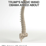 Trump’s magic wand